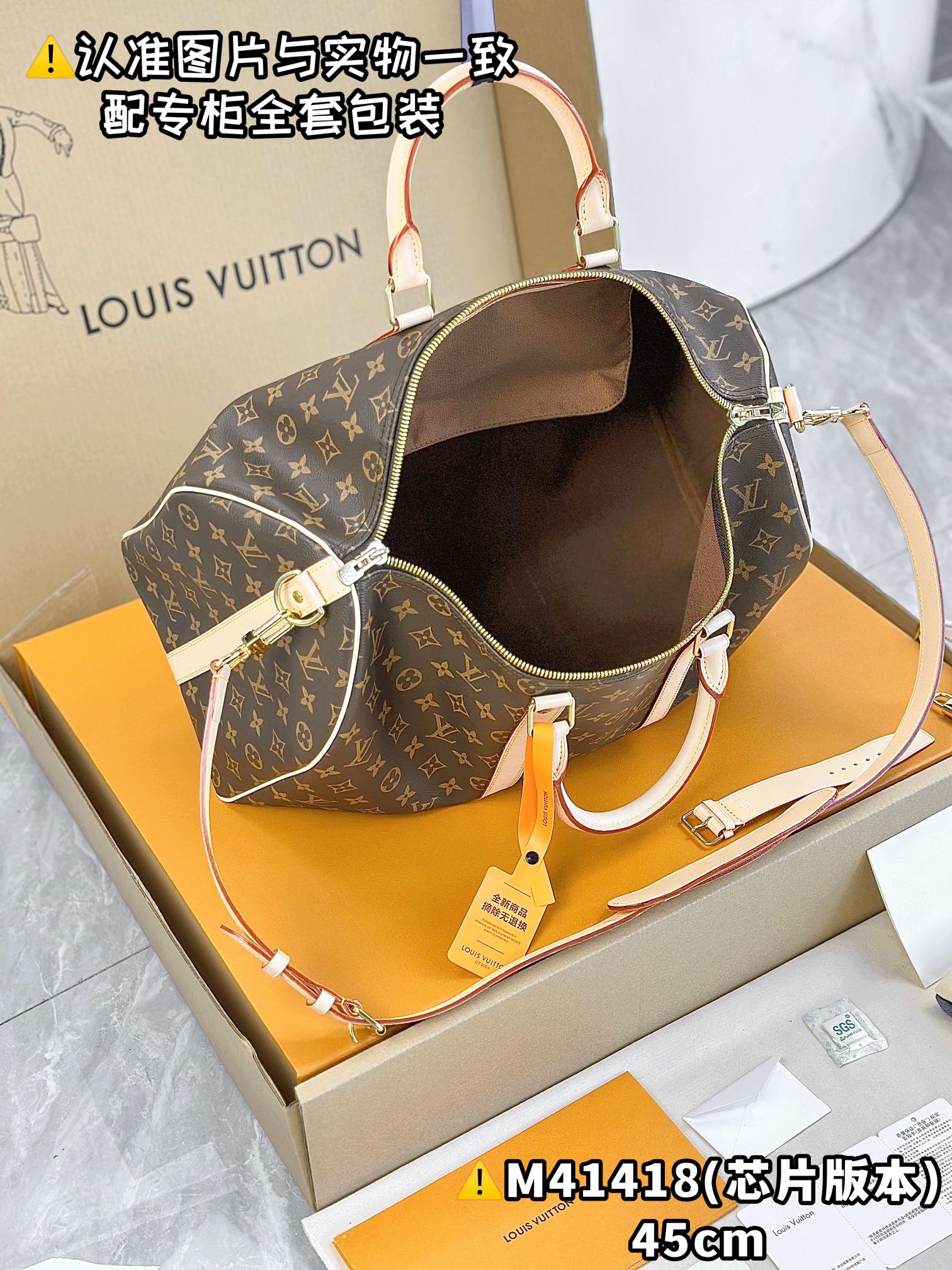 LV Travel Bags